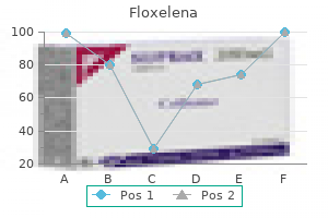 floxelena 500 mg generic on-line
